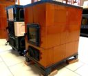 Камелия t10 s (1)