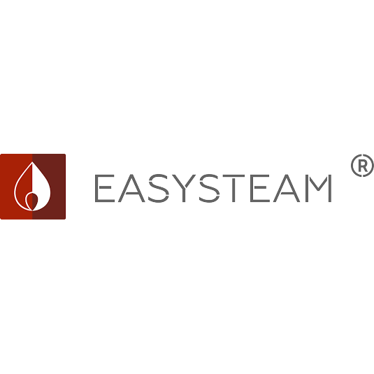 EASYSTEAM